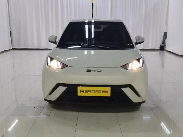 BYD Seagull 2024 Model Honor Edition 305KM Vitality Edition – фото 2