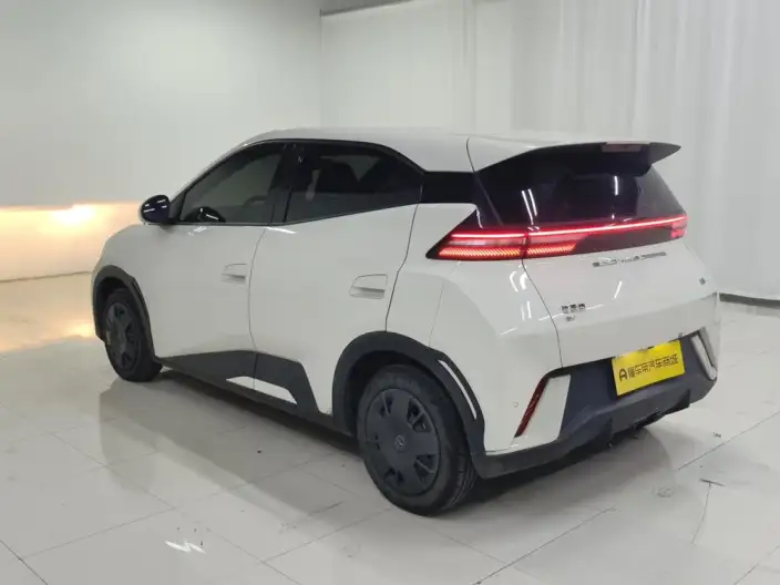 BYD Seagull 2024 Model Honor Edition 305KM Vitality Edition – фото 5