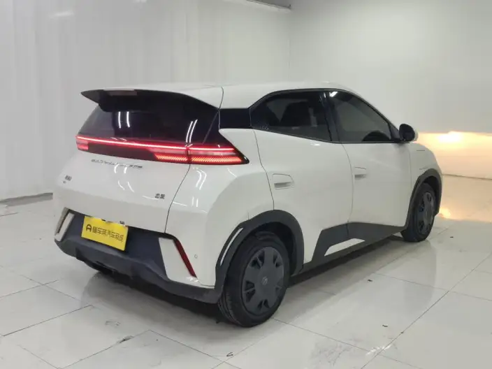 BYD Seagull 2024 Model Honor Edition 305KM Vitality Edition – фото 7