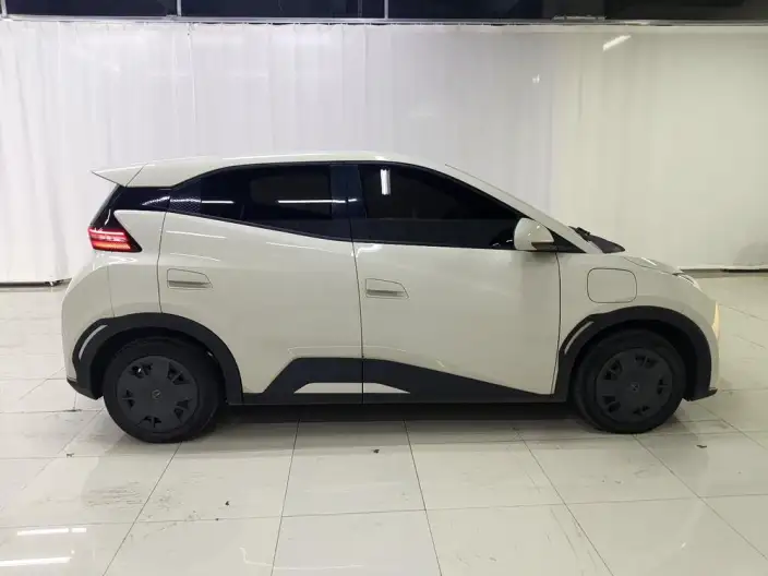 BYD Seagull 2024 Model Honor Edition 305KM Vitality Edition – фото 8