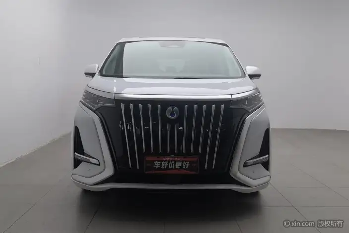Denza D9 EV 2022 Model 600 4WD Flagship Model – фото 2