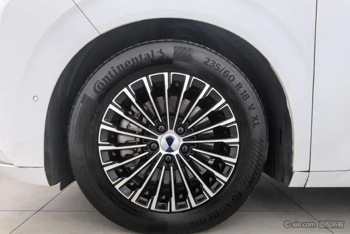 Denza D9 EV 2022 Model 600 4WD Flagship Model – фото 8