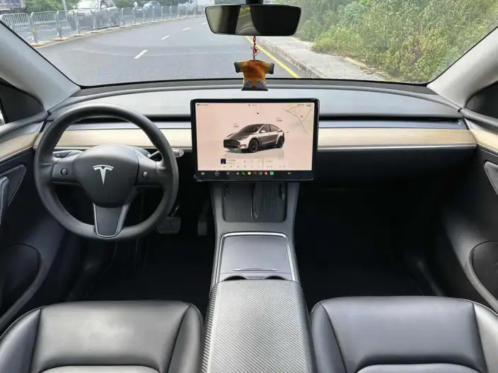Model Y 2022 Model Facelift Rear-wheel drive version – фото 10