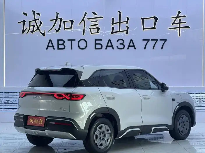 Yuan UP 2025 Model Smart Driving Edition 401KM Vitality Edition – фото 6