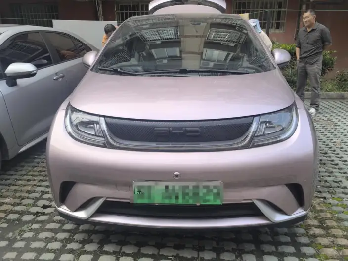BYD Dolphin 2023 Model Free Edition – фото 2