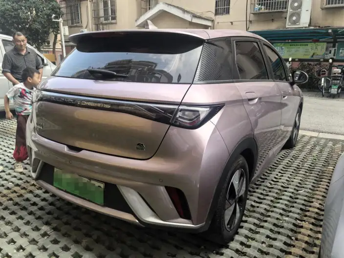 BYD Dolphin 2023 Model Free Edition – фото 3