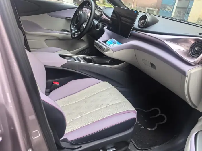 BYD Dolphin 2023 Model Free Edition – фото 4