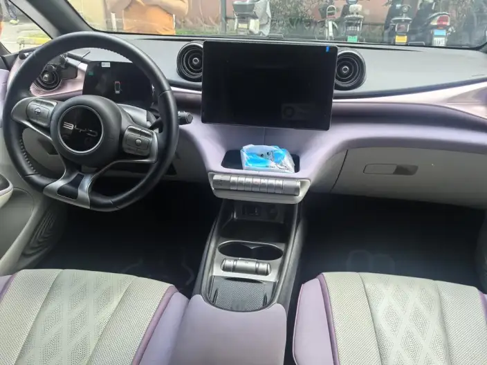 BYD Dolphin 2023 Model Free Edition – фото 6