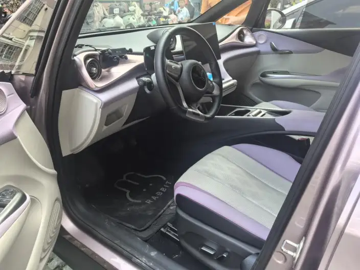BYD Dolphin 2023 Model Free Edition – фото 8