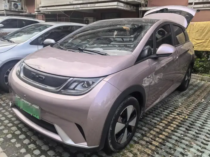 BYD Dolphin 2023 Model Free Edition – фото 10