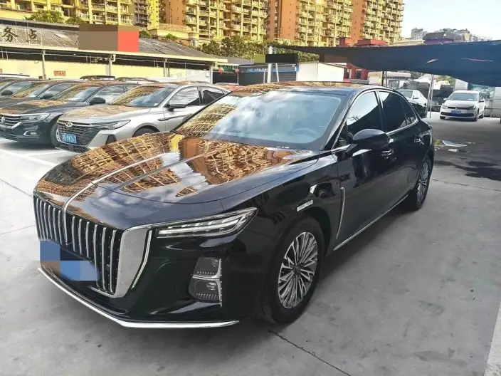 Hongqi H5 2023 Model 2.0T Automatic Flag Lead Edition – фото 10