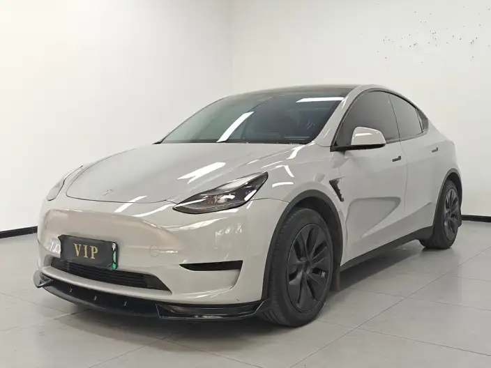 Model Y 2023 Model Rear-wheel drive version – фото 1