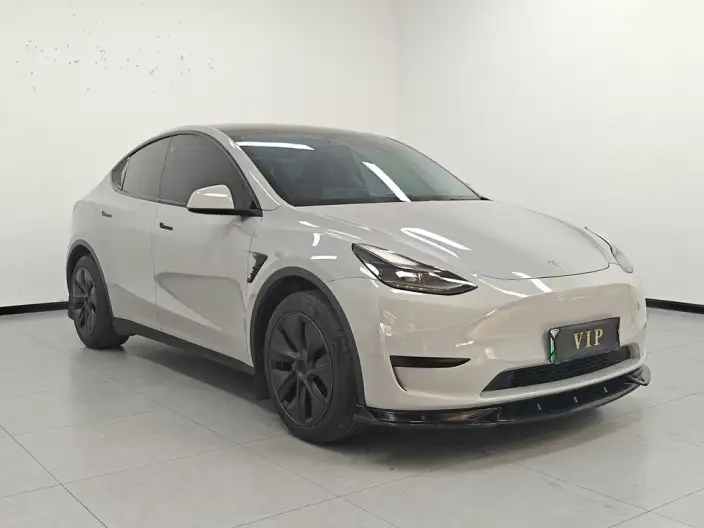 Model Y 2023 Model Rear-wheel drive version – фото 3