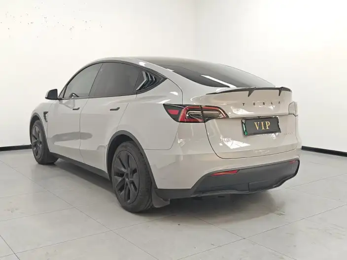 Model Y 2023 Model Rear-wheel drive version – фото 4