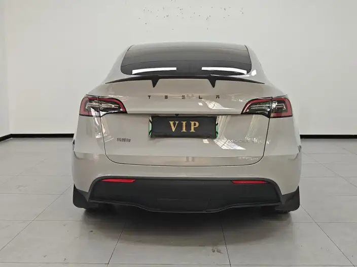 Model Y 2023 Model Rear-wheel drive version – фото 5