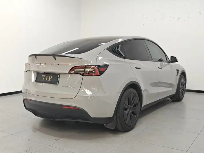 Model Y 2023 Model Rear-wheel drive version – фото 6