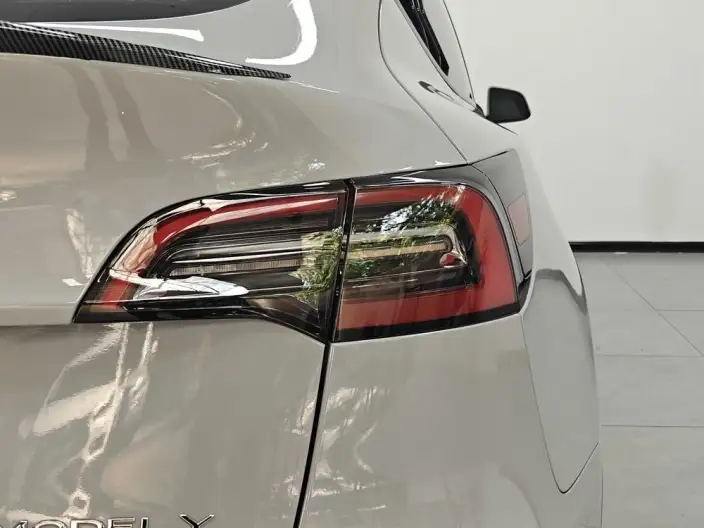 Model Y 2023 Model Rear-wheel drive version – фото 8