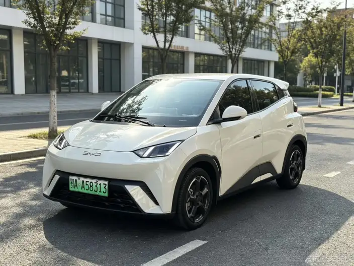 BYD Seagull 2024 Model Honor Edition 305KM Free Edition – фото 1