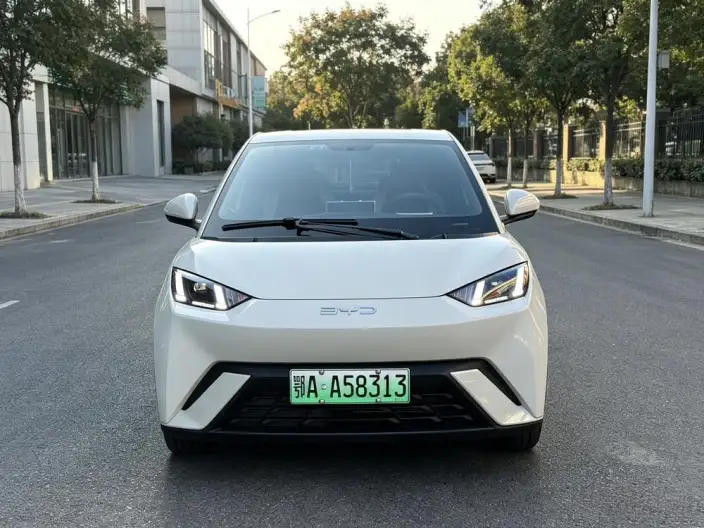 BYD Seagull 2024 Model Honor Edition 305KM Free Edition – фото 2