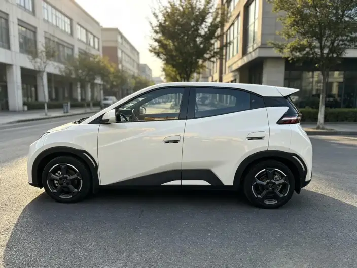 BYD Seagull 2024 Model Honor Edition 305KM Free Edition – фото 3