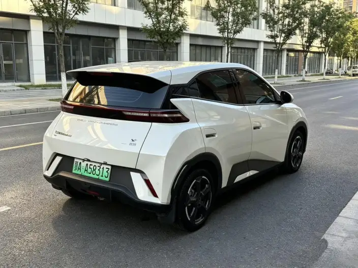 BYD Seagull 2024 Model Honor Edition 305KM Free Edition – фото 6