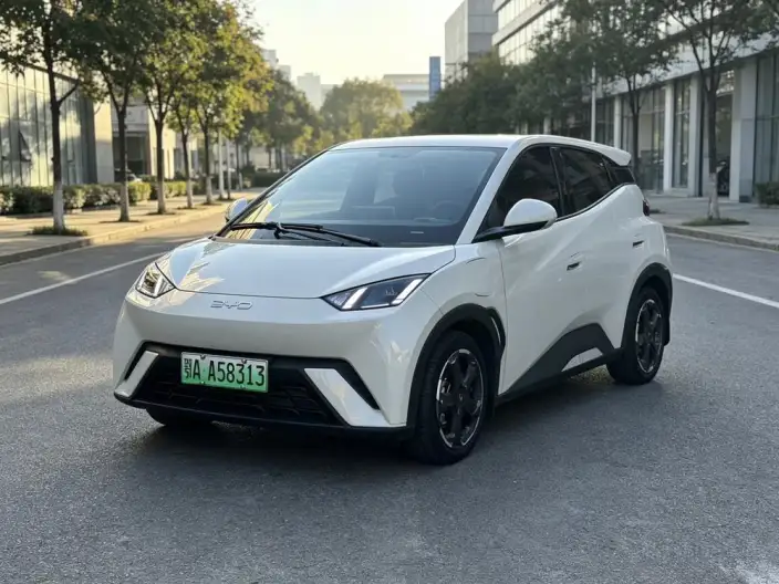 BYD Seagull 2024 Model Honor Edition 305KM Free Edition – фото 7