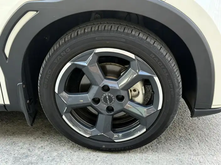 BYD Seagull 2024 Model Honor Edition 305KM Free Edition – фото 9