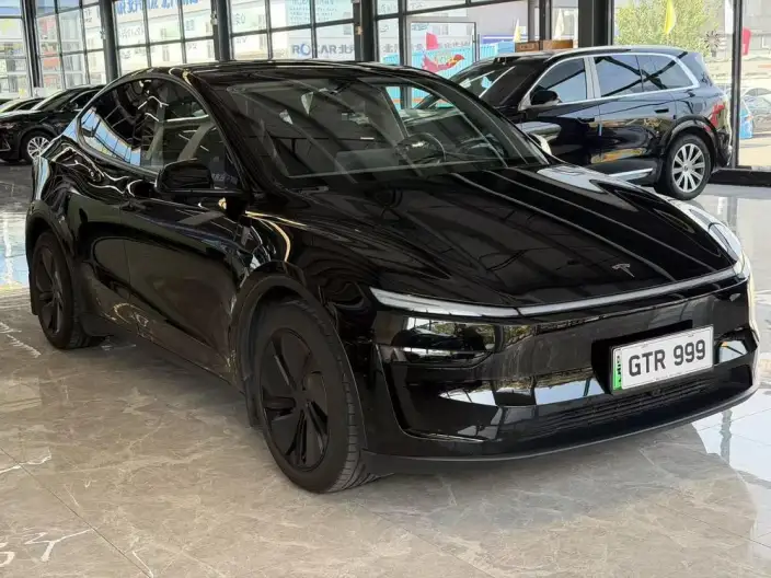 Model Y 2025 Model Facelift Long Battery Life Pro All-wheel drive version – фото 3