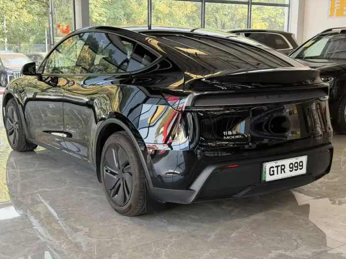 Model Y 2025 Model Facelift Long Battery Life Pro All-wheel drive version – фото 4