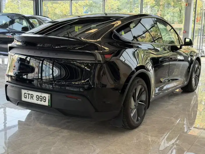 Model Y 2025 Model Facelift Long Battery Life Pro All-wheel drive version – фото 6