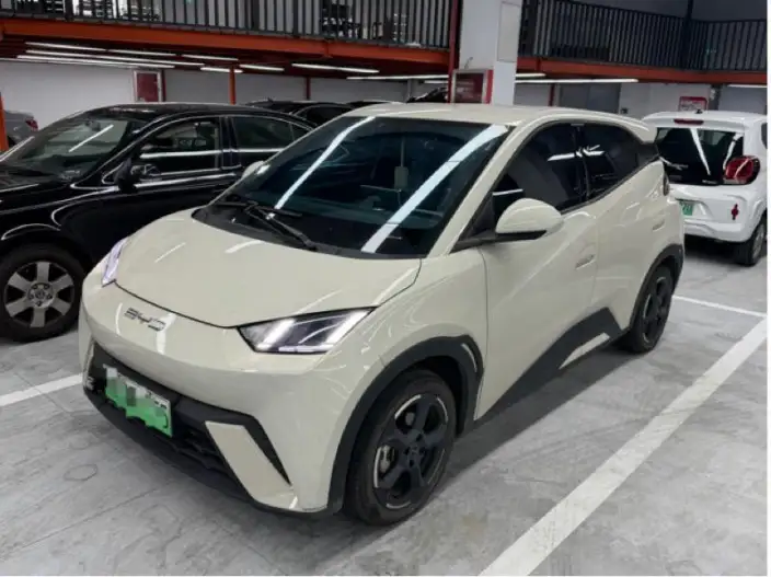 BYD Seagull 2024 Model Honor Edition 305KM Vitality Edition – фото 1