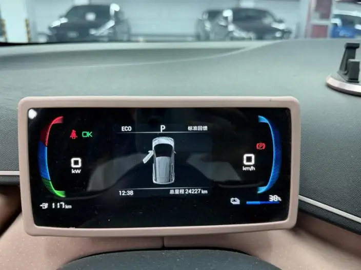 BYD Seagull 2024 Model Honor Edition 305KM Vitality Edition – фото 3