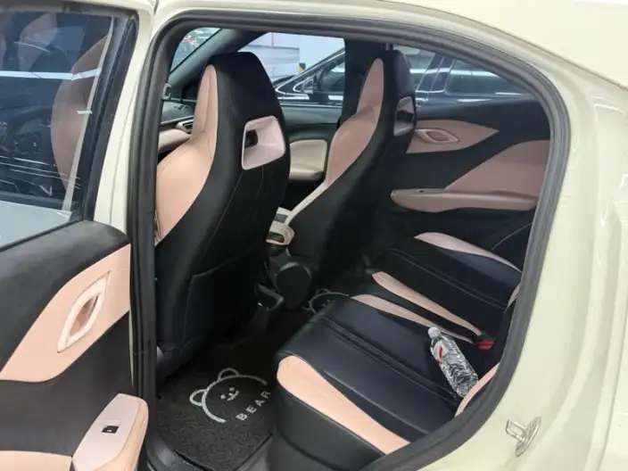 BYD Seagull 2024 Model Honor Edition 305KM Vitality Edition – фото 6