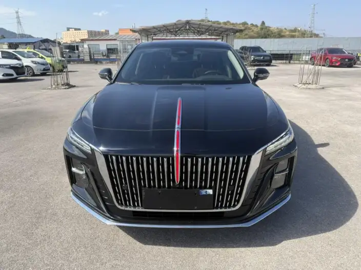 Hongqi H5 2023 Model 2.0T Automatic Flag Enjoy Edition – фото 2