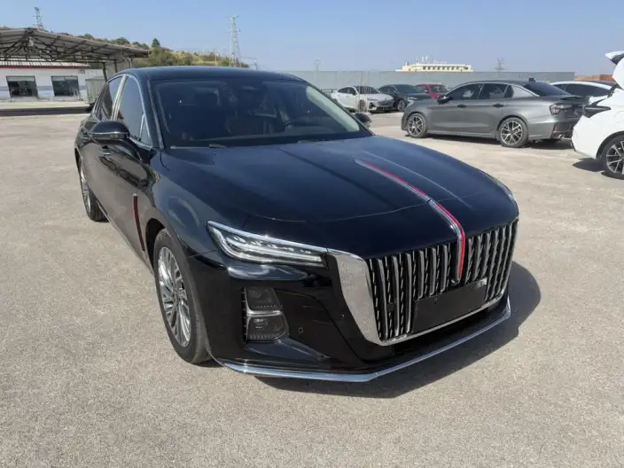 Hongqi H5 2023 Model 2.0T Automatic Flag Enjoy Edition – фото 3