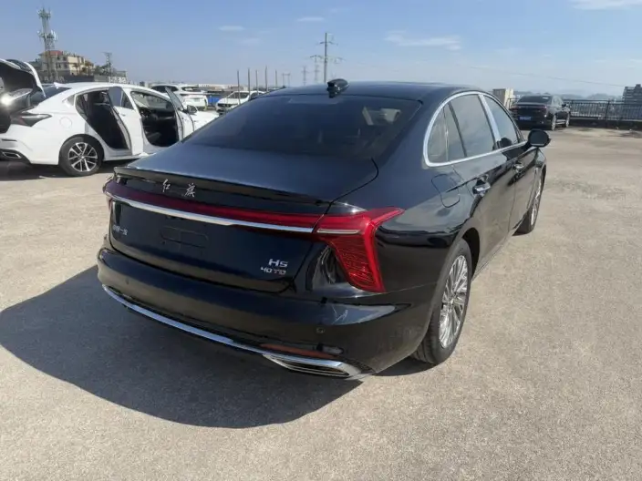 Hongqi H5 2023 Model 2.0T Automatic Flag Enjoy Edition – фото 6