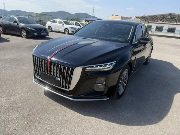 Hongqi H5 2023 Model 2.0T Automatic Flag Enjoy Edition – фото 10