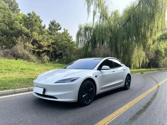 Model 3 2023 Model Rear-wheel drive version – фото 10