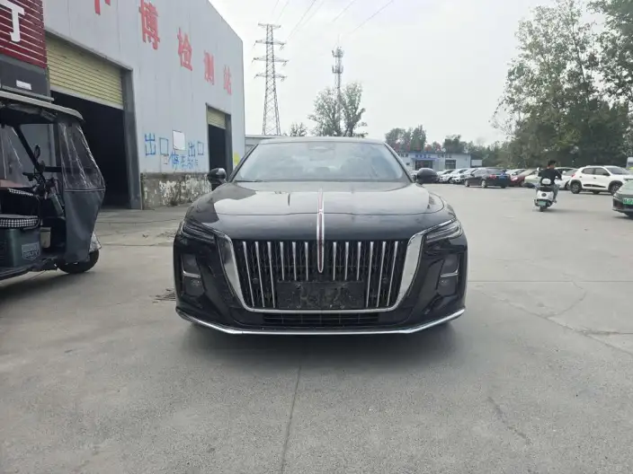 Hongqi H5 2024 Model 2.0T Automatic Smart Flag Enjoy Edition – фото 2