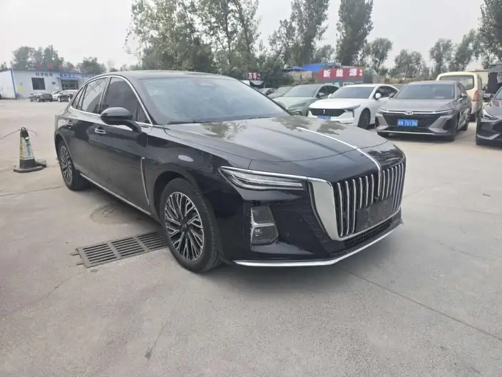Hongqi H5 2024 Model 2.0T Automatic Smart Flag Enjoy Edition – фото 3