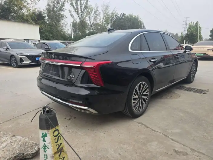 Hongqi H5 2024 Model 2.0T Automatic Smart Flag Enjoy Edition – фото 6
