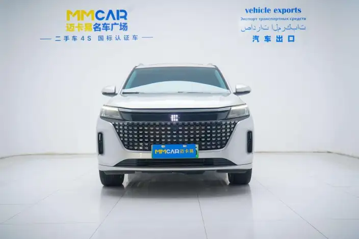 Blue Electric E5 2023 Model 1.5L DE-i Changxiang Edition Model