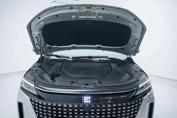 Blue Electric E5 2023 Model 1.5L DE-i Changxiang Edition Model – фото 7
