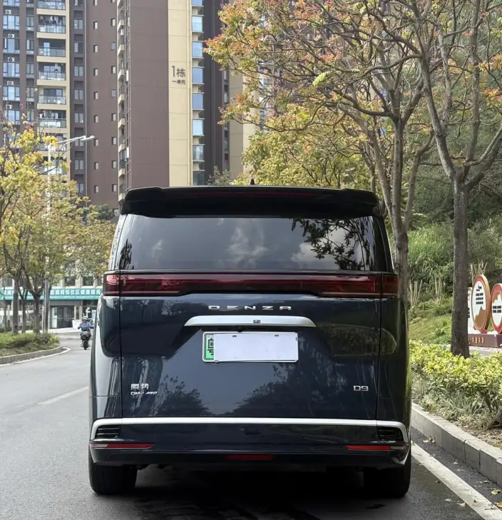 DENZA D9 DM 2022 Model 970 4WD Flagship Model – фото 4