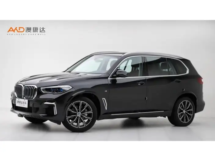BMW X5 2022 Model Facelift xDrive 30Li Exclusive Model M Sports Set – фото 1