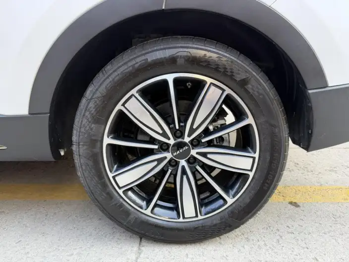 Haval H6 2023 Model Guo Trendy Edition 1.5T Automatic Champion Edition – фото 5