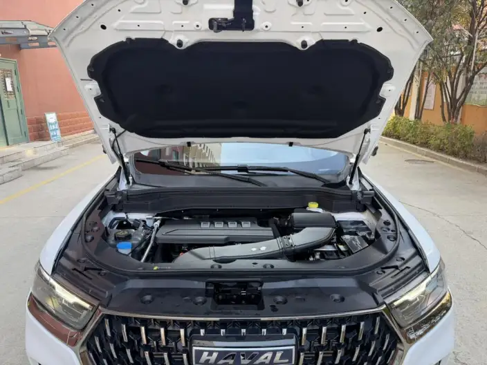 Haval H6 2023 Model Guo Trendy Edition 1.5T Automatic Champion Edition – фото 6