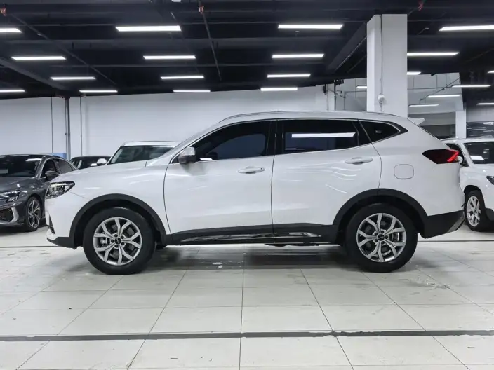 Haval H6 2021 Model Guo Trendy Edition 1.5T Automatic Champion Edition – фото 4