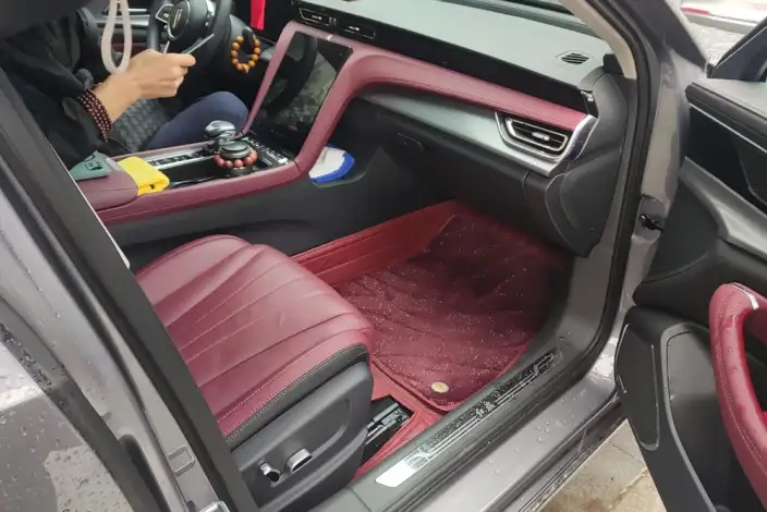 Hongqi H5 2023 Model 2.0T Automatic Flag Enjoy Edition – фото 9
