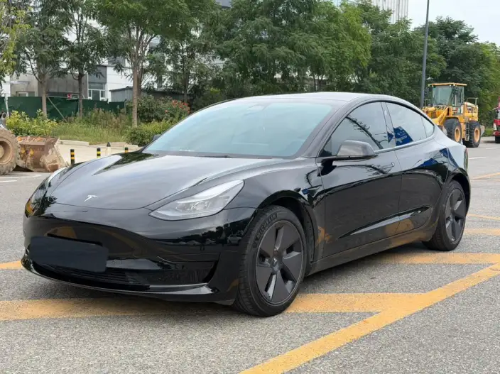 Model 3 2022 Model Rear-wheel drive version – фото 1